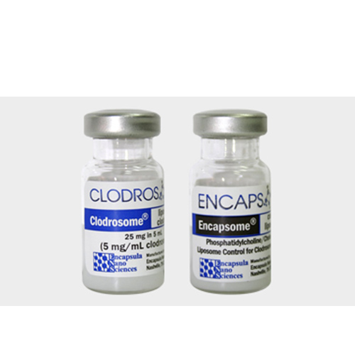 Encapsula Standard Macrophage Depletion Kit (Clodrosome + Encapsome) CLD-8901-10ml