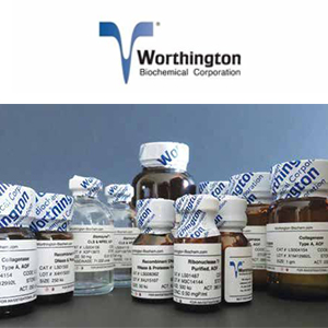 Worthington Clostripain (Endoproteinase-Arg-C) Sequencing Grade LS02135