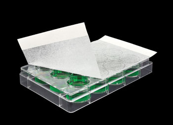 DivBio Breathe Easy Petri Strips, 100/pk BEMP-1000