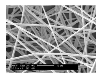 Synthecon NANOBIOMATRIX SCAFFOLD SHEETS  AVAILABLE DIMENSIONS: Scaffold sheets:  9 sq. cm (3 cm x 3 cm) 100 sq. cm (10 cm x 10 cm) 150 sq. cm (10 cm x 15 cm) THICKNESS: Aligned fibers - 200 µm Random 