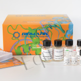 Biomatik Human VEGF-D ELISA Kit EKA52077